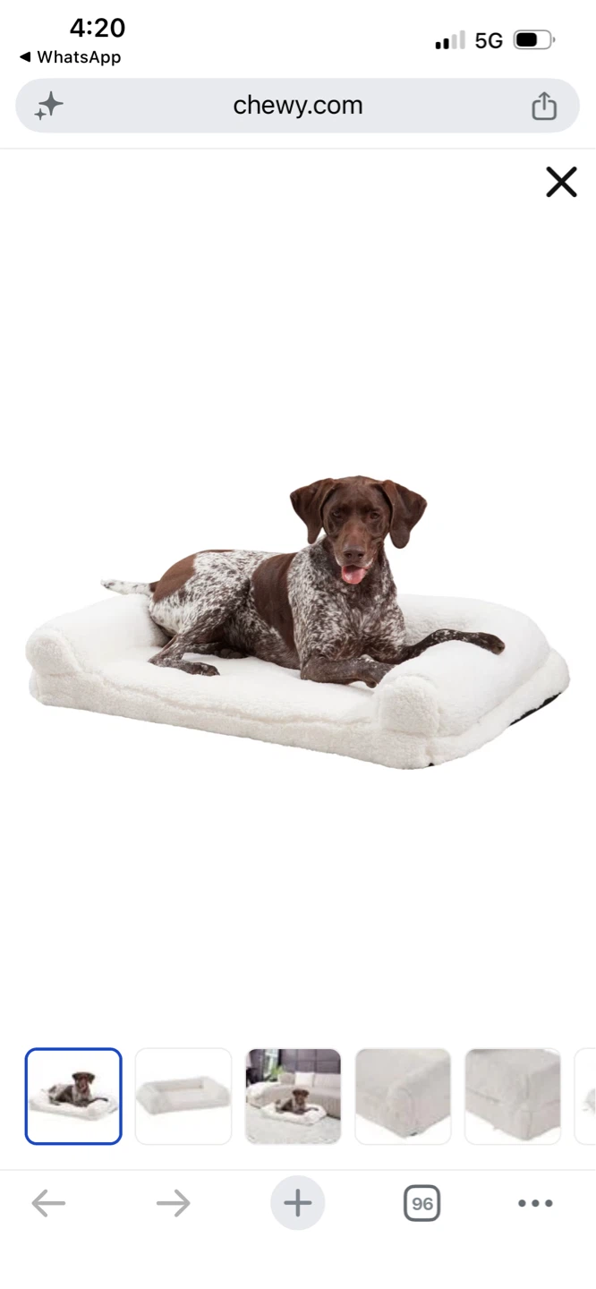 New White Sherpa Dog Bed - Large