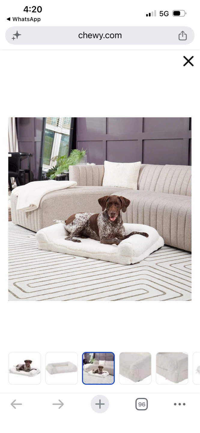 New White Sherpa Dog Bed - Large - photo 3