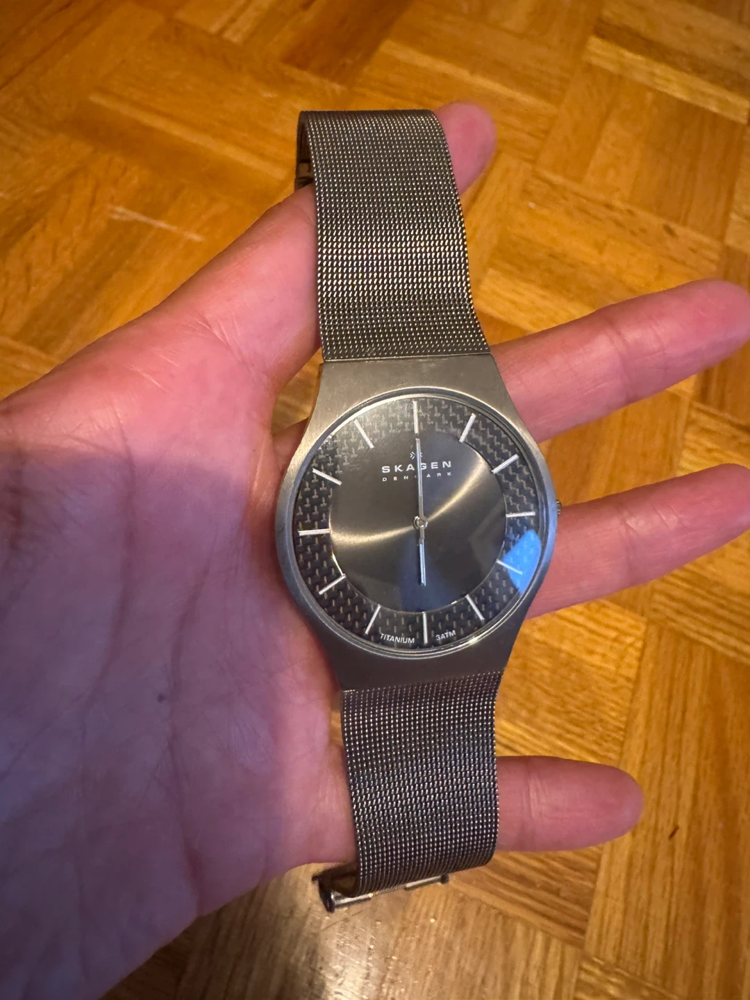 Skagen Titanium Watch 803XLTTM