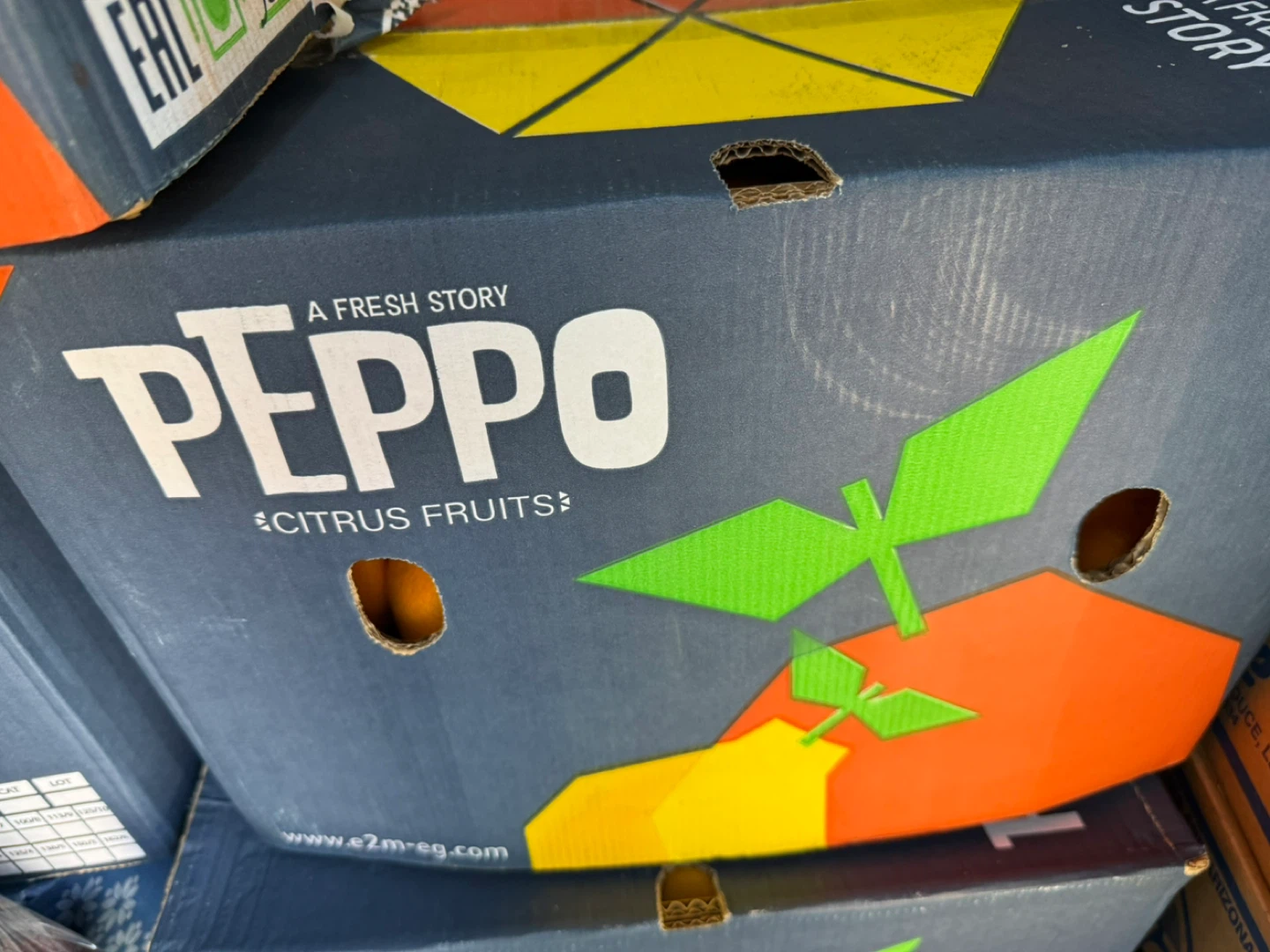 Oranges for juice , Restaurant supplier - photo 2