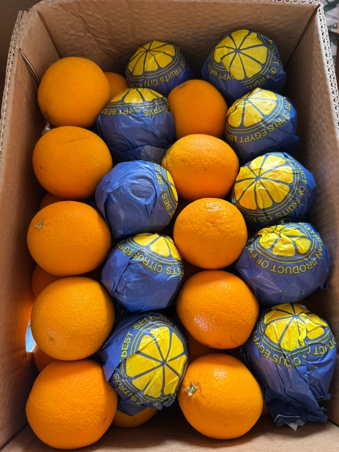 Oranges for juice , Restaurant supplier