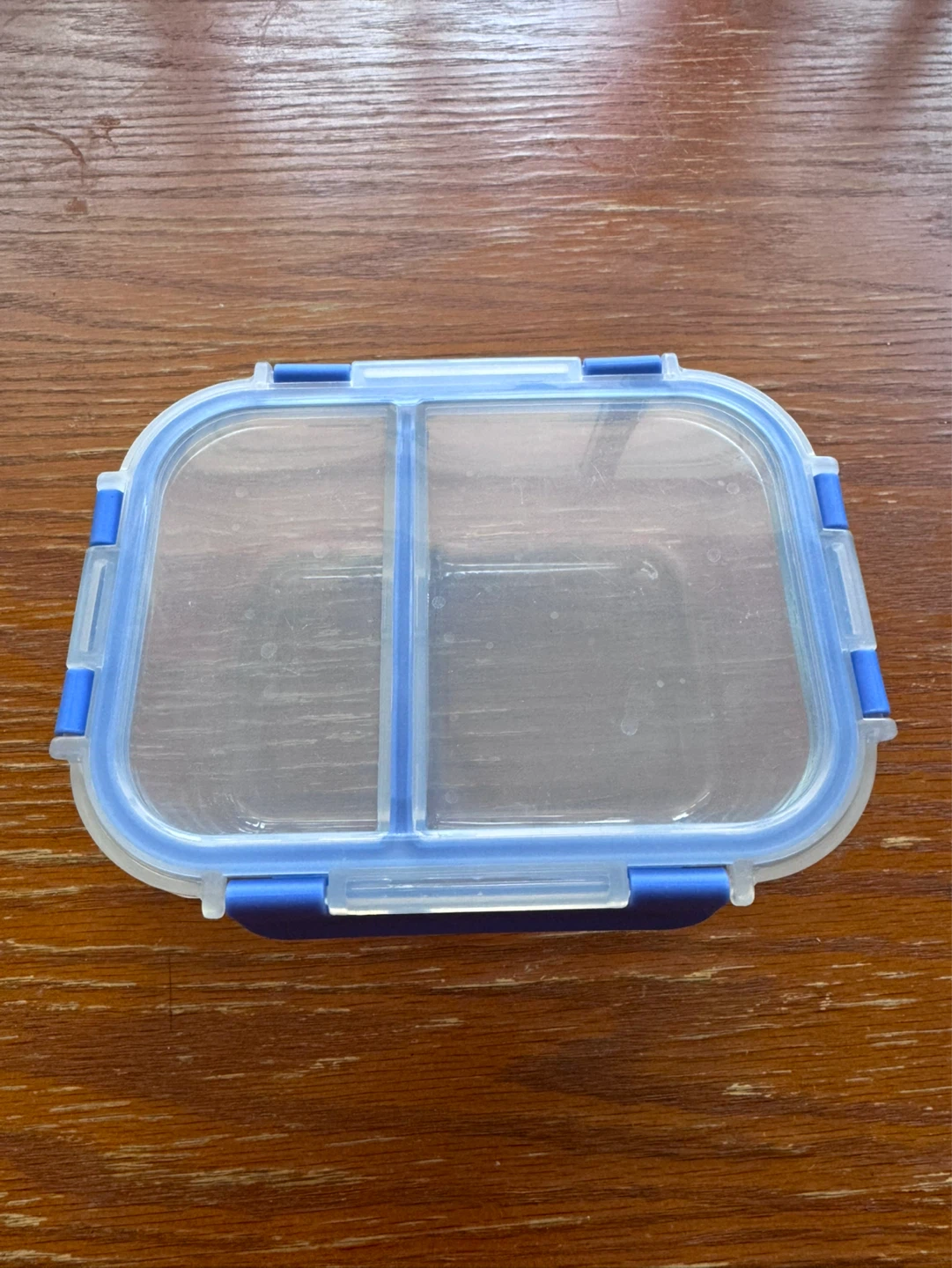Glass Divided Food Container