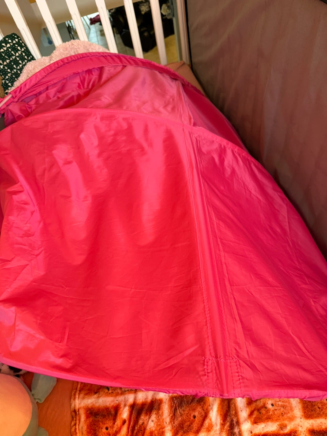 Bright Pink Canopy for TWIN BED