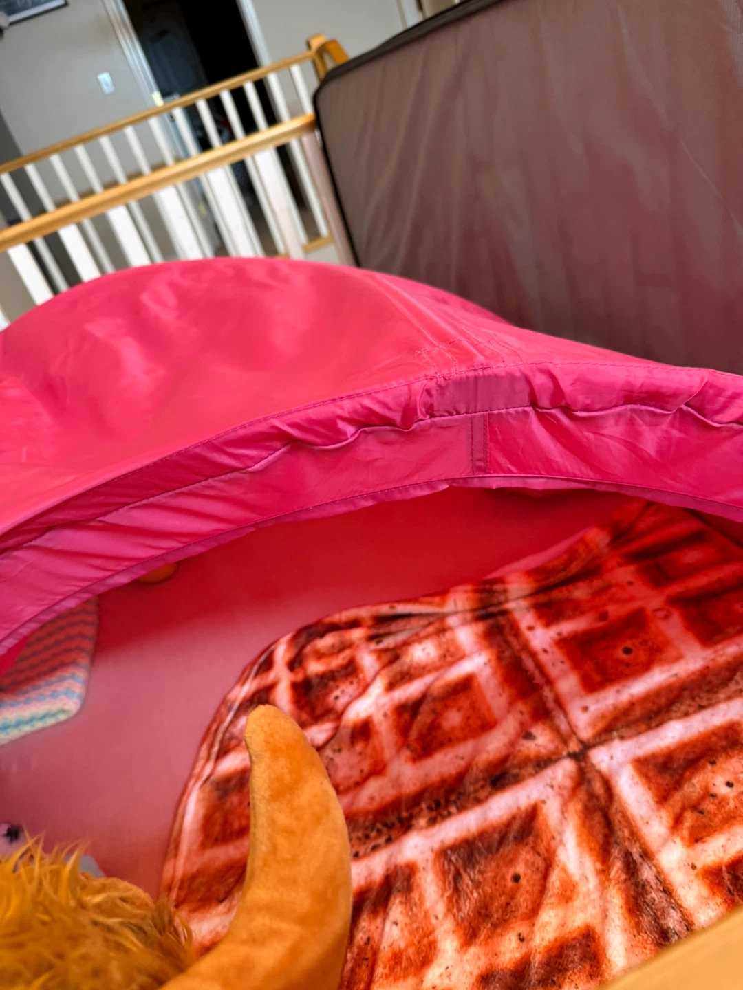 Bright Pink Canopy for TWIN BED - photo 2