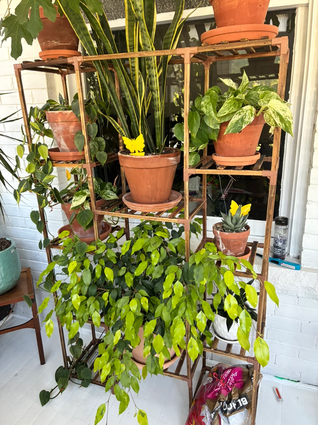 Multi-Tiered Wooden Plant Stand