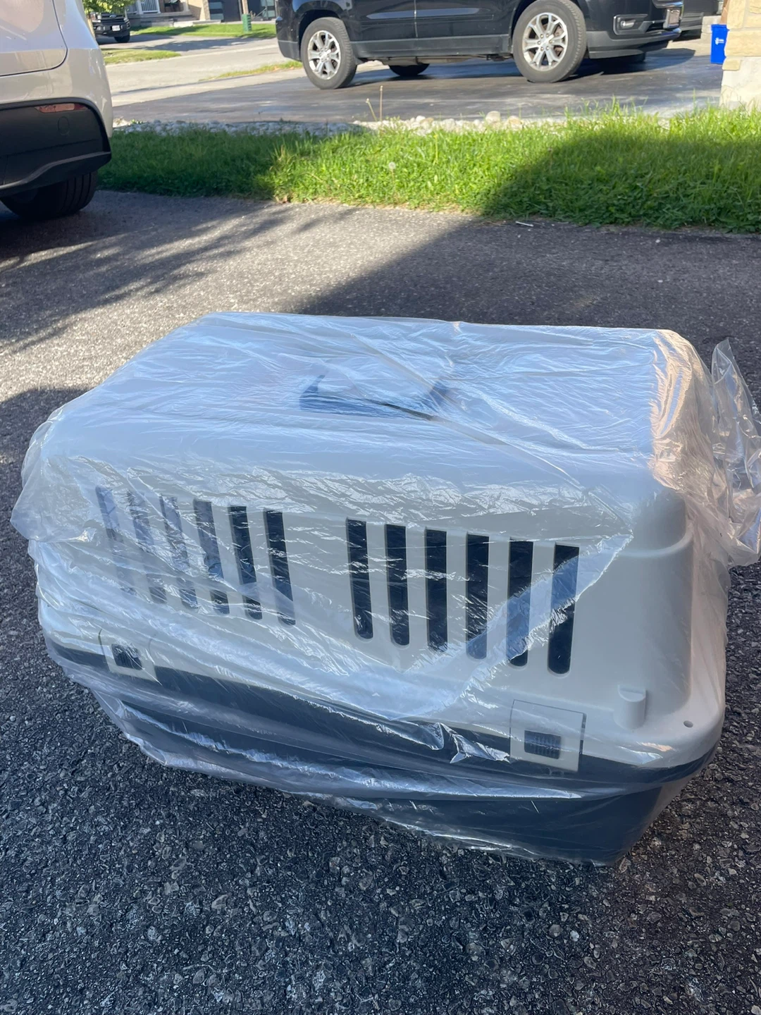 Pet Carrier Crate
