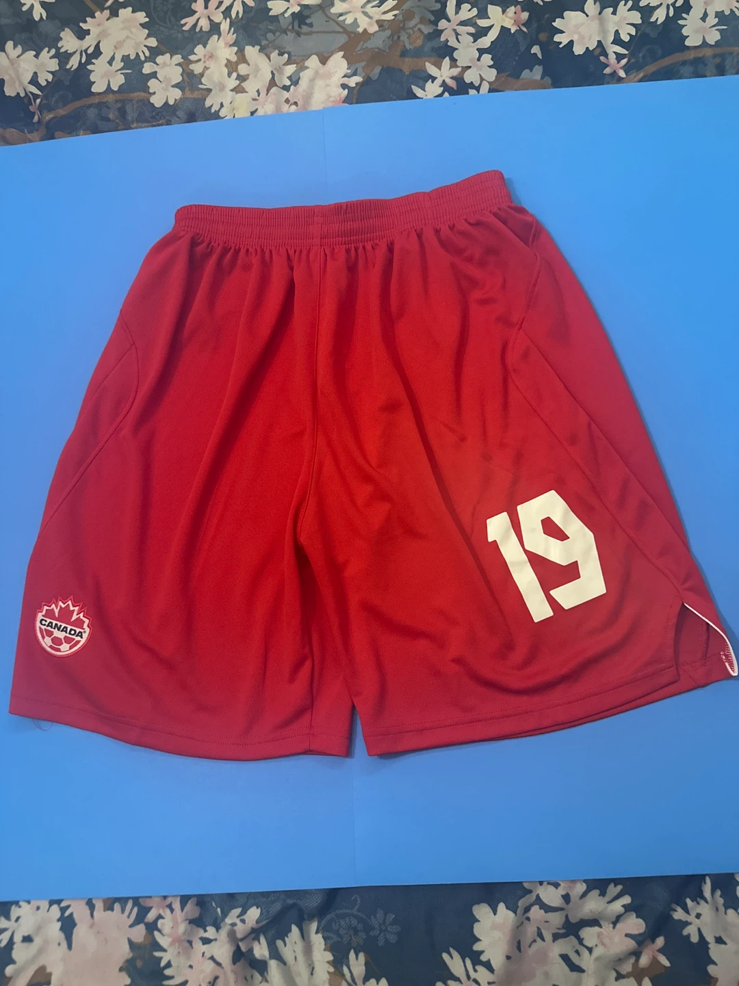 Canada Soccer Alphonso Davies 19 Jersey & Shorts Set - photo 4