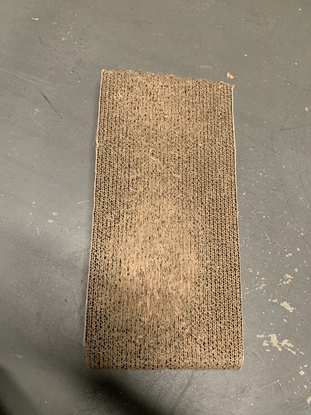 ✨FREE✨#freecycle Cardboard Cat Scratcher Roll - photo 3