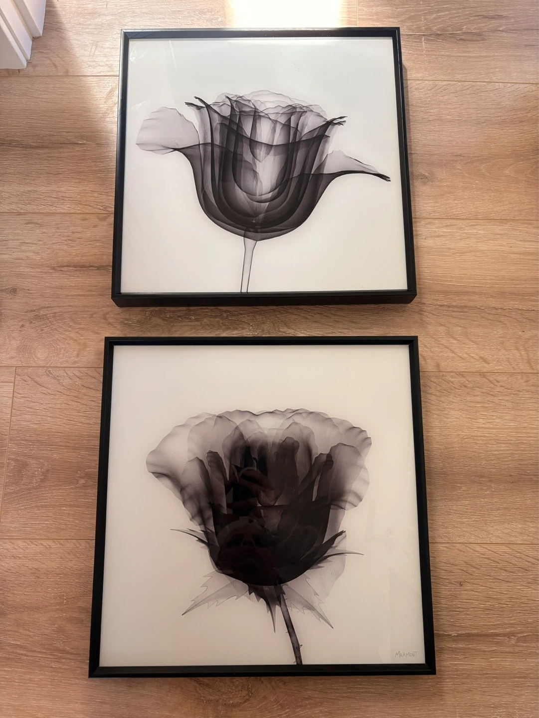 Framed Black and White Rose Art Prints (Set of 2)