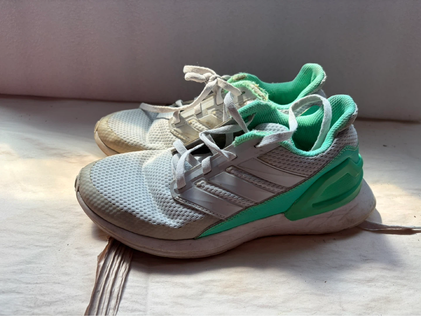 Adidas Ultraboost Running Shoes