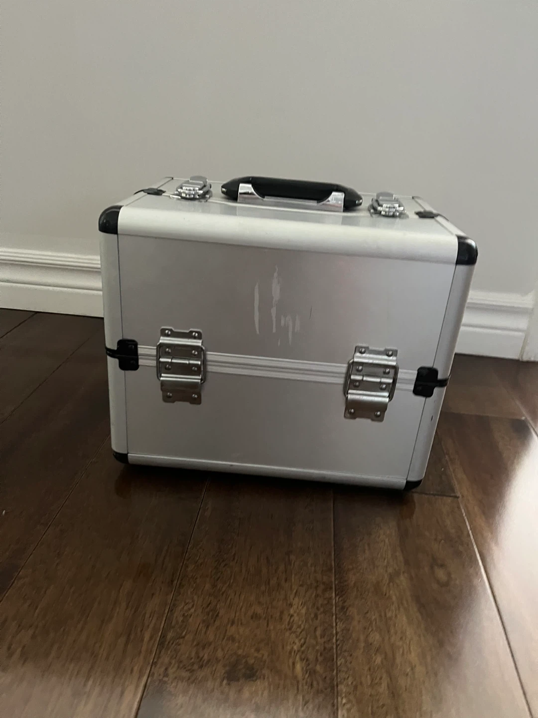 Silver Makeup Train Case