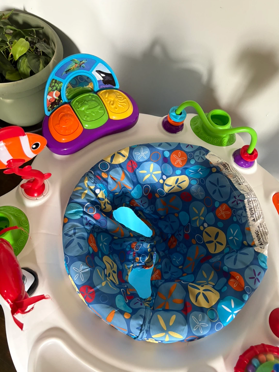Baby Einstein Ocean Explorer Jumper