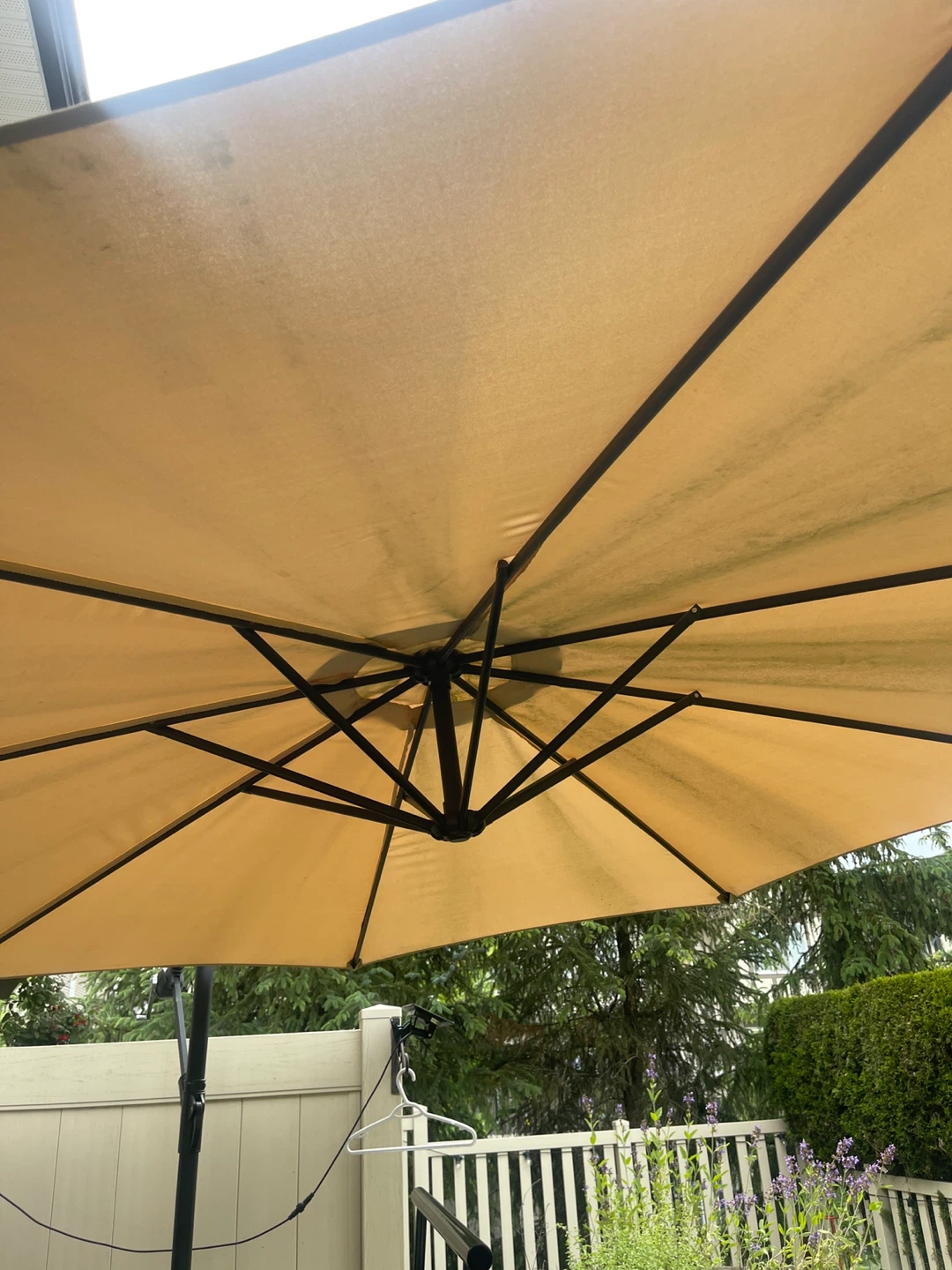Large Patio Umbrella - photo 5
