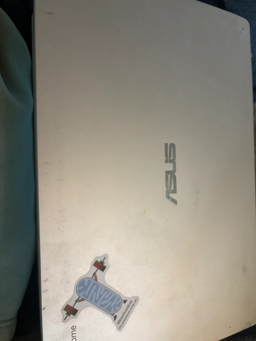 ASUS Chromebook Laptop