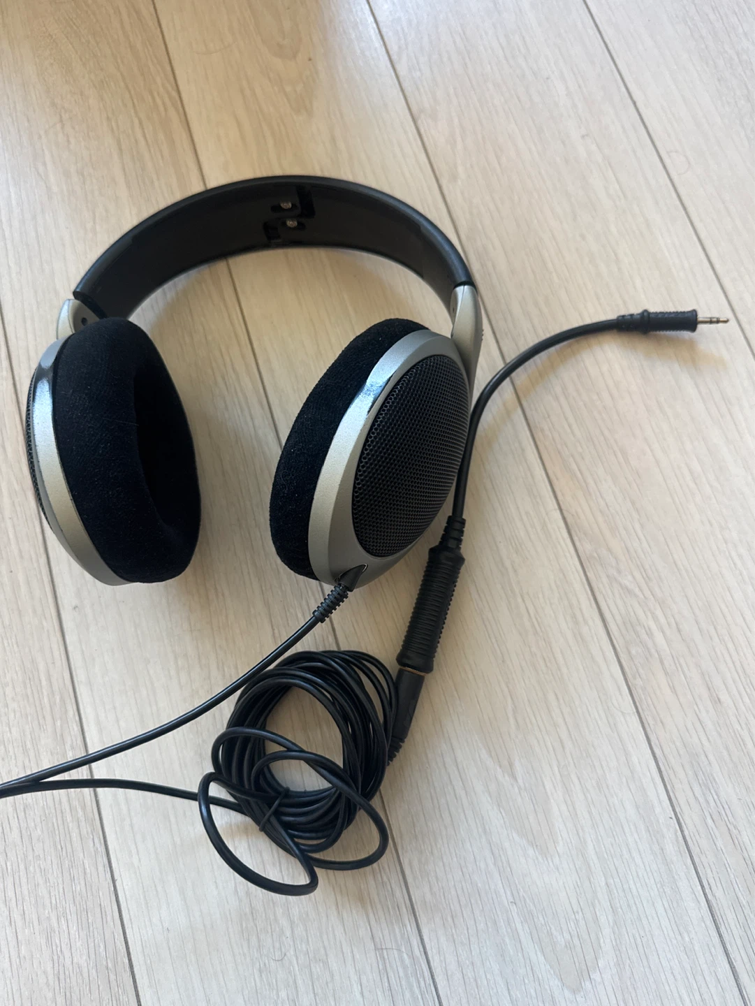Sennheiser HD 555