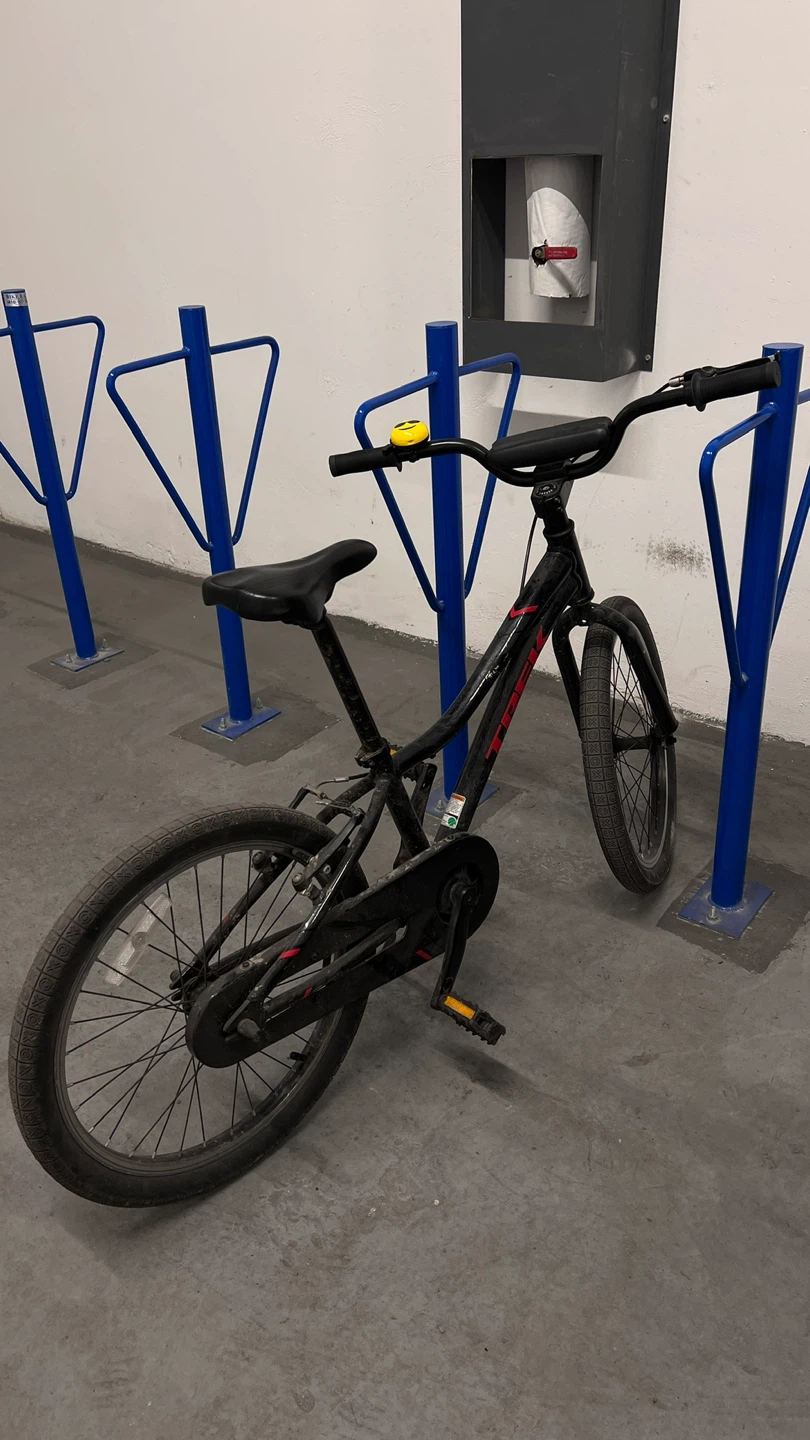 Trek Kids Bike