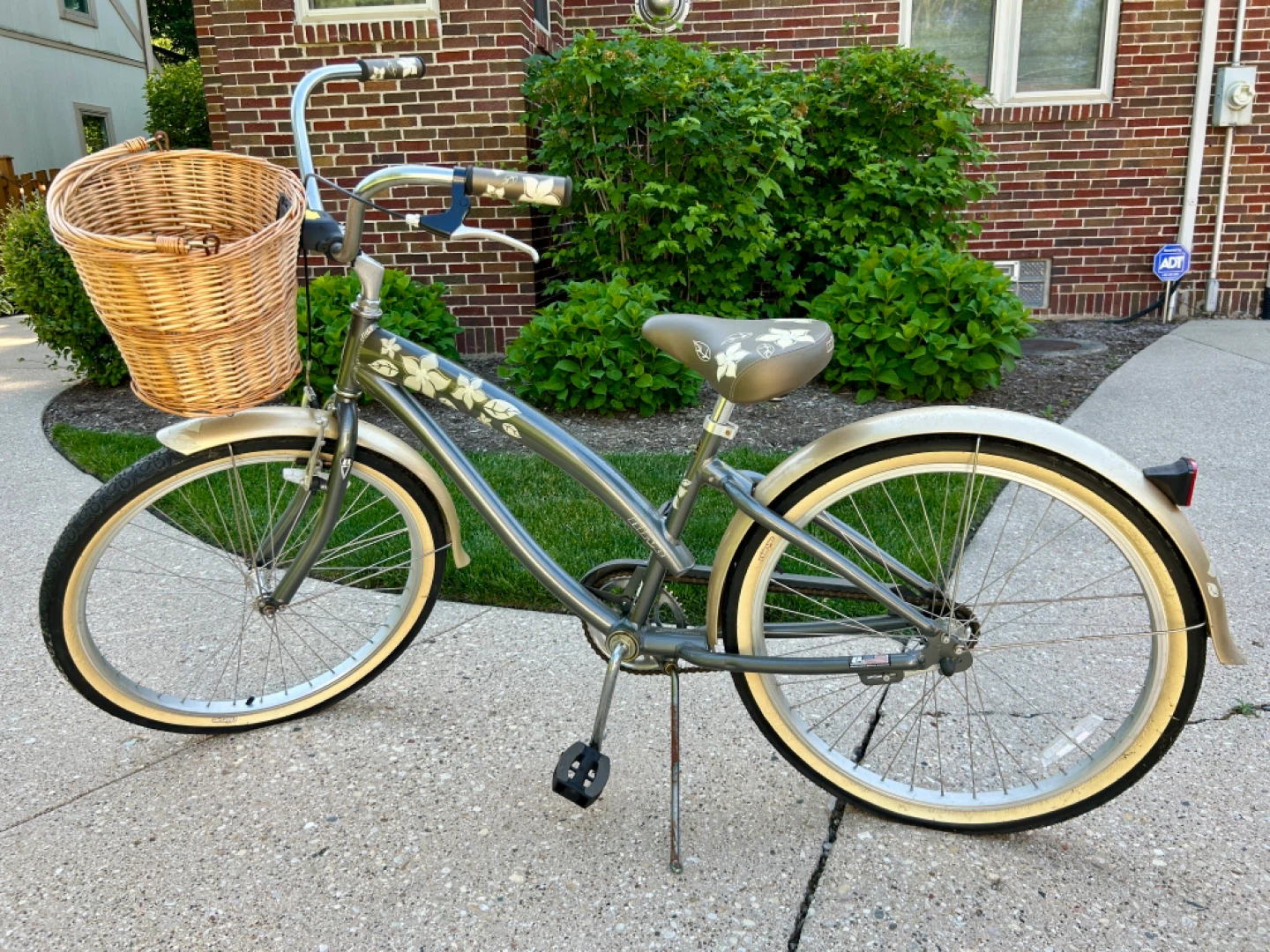 Gray cruiser bike with front basket