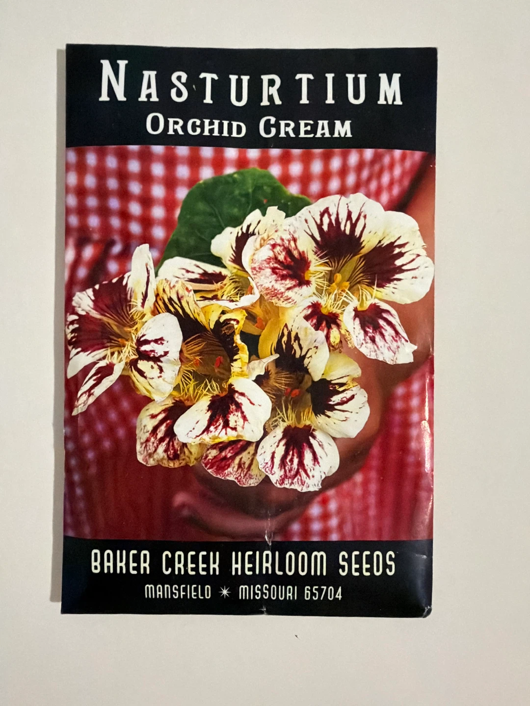 Nasturtium Orchid Cream Seeds