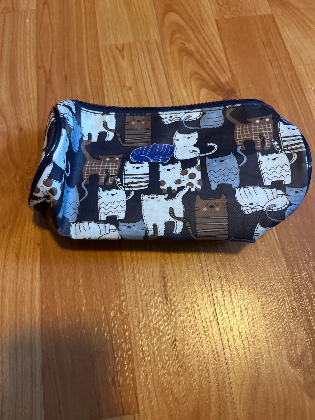Cat Pencil Case (Broken Zipper)