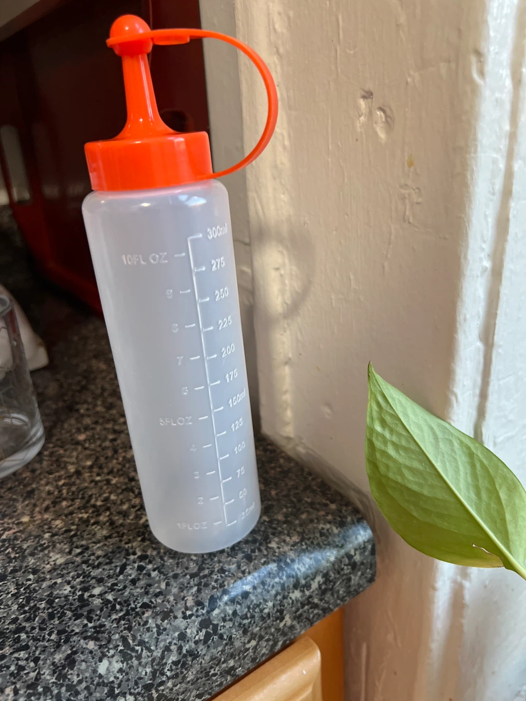 10 oz Squeeze Bottle with Orange Cap