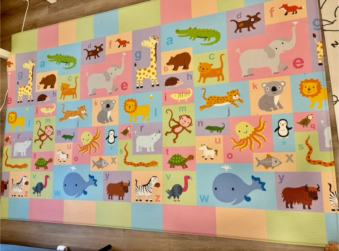 Large Play Mat - Animals & Farm Scene