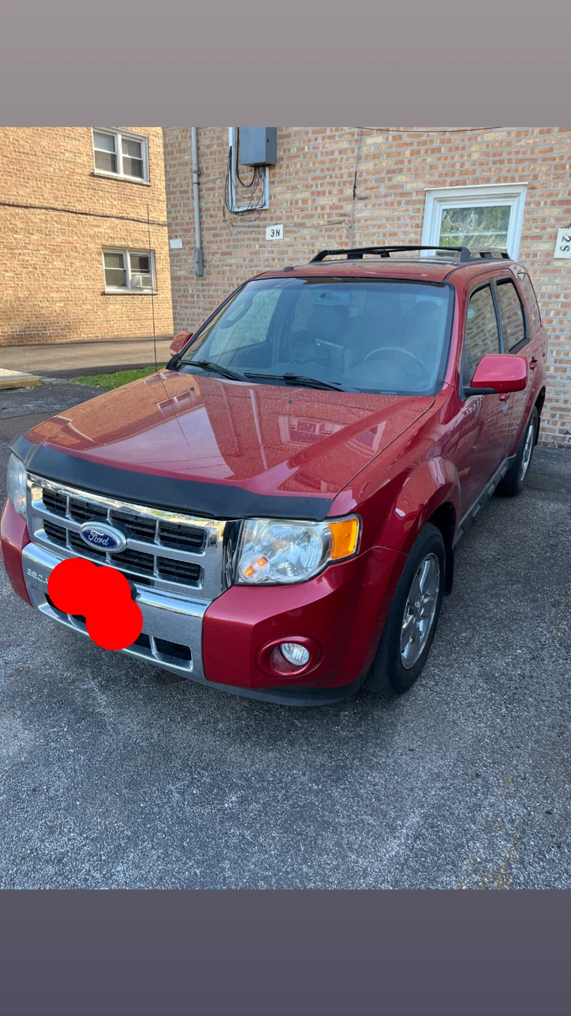 2010 Ford Escape XLT