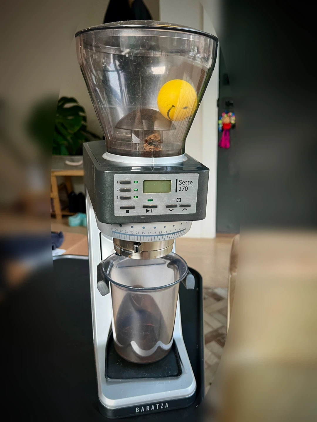 Coffee Grinder