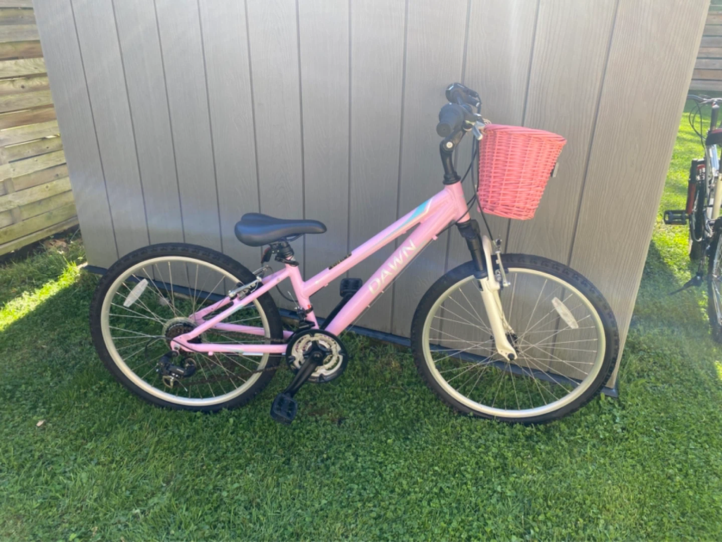 Pink "DAWN" Girls Bicycle with Basket