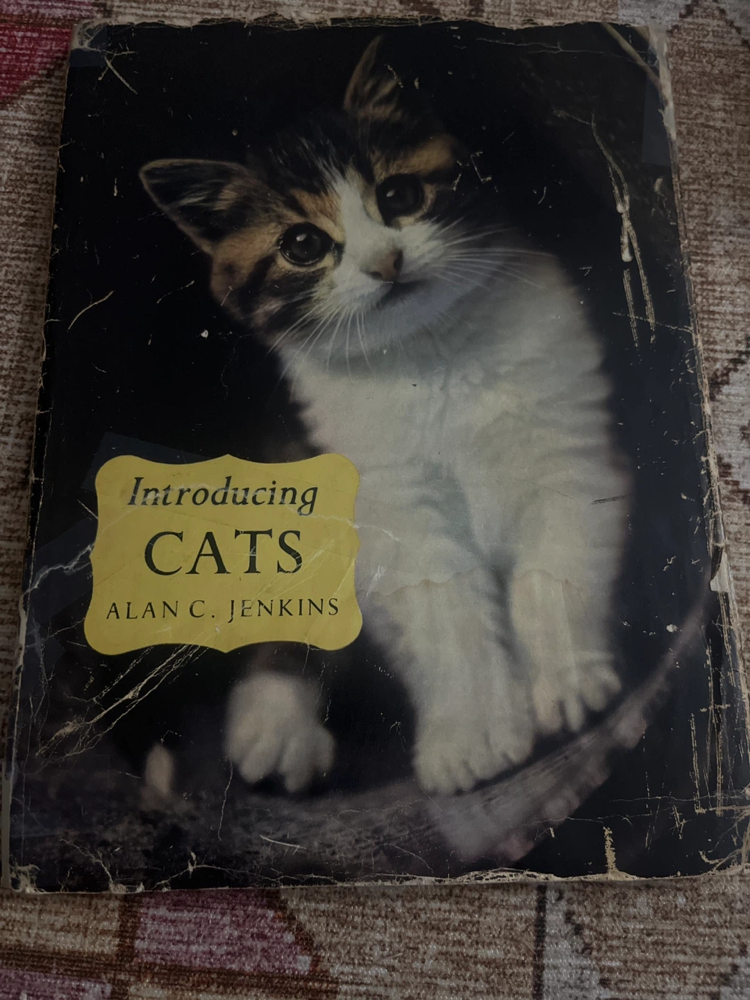 Introducing CATS Book by Alan C. Jenkins