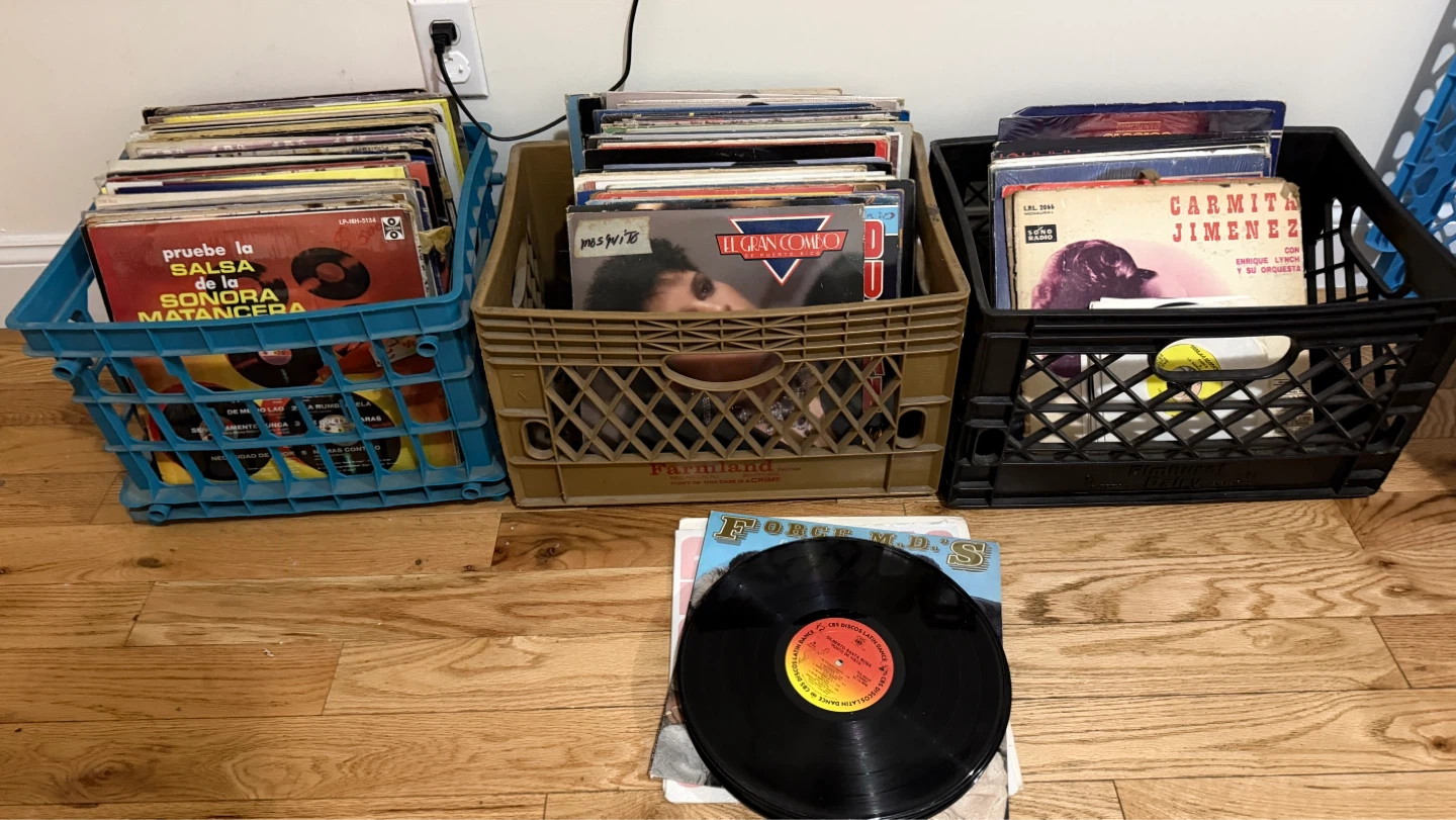 Record Collection in Crates - photo 2