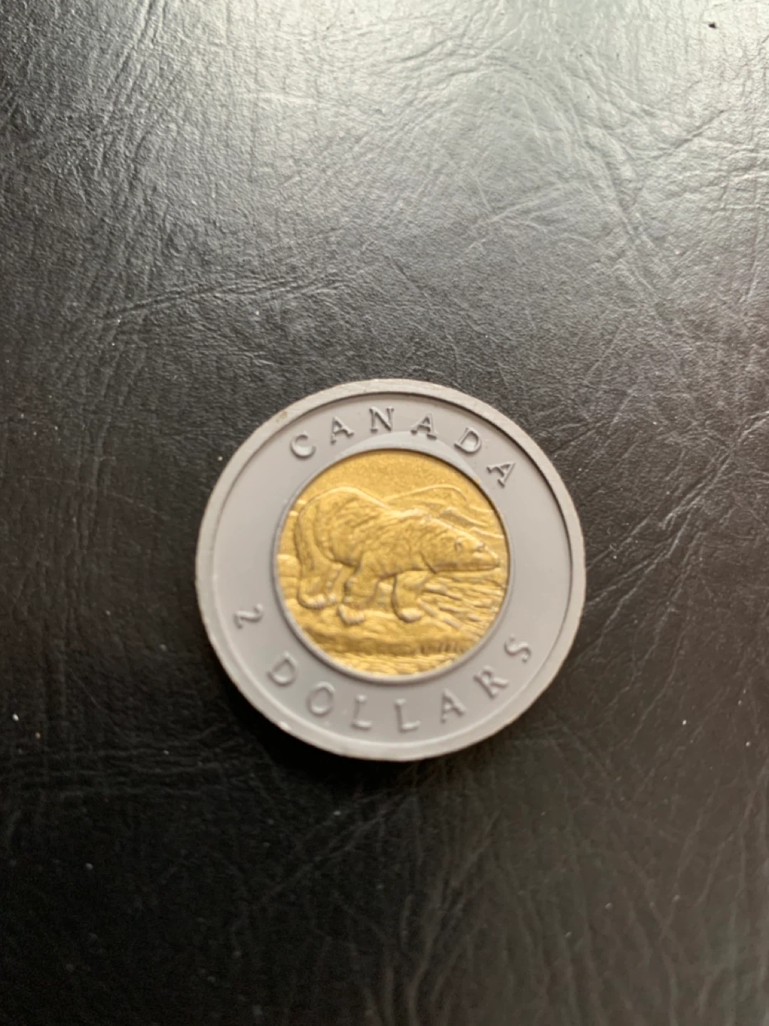 Plastic 2 Dollar Coin "School Money"