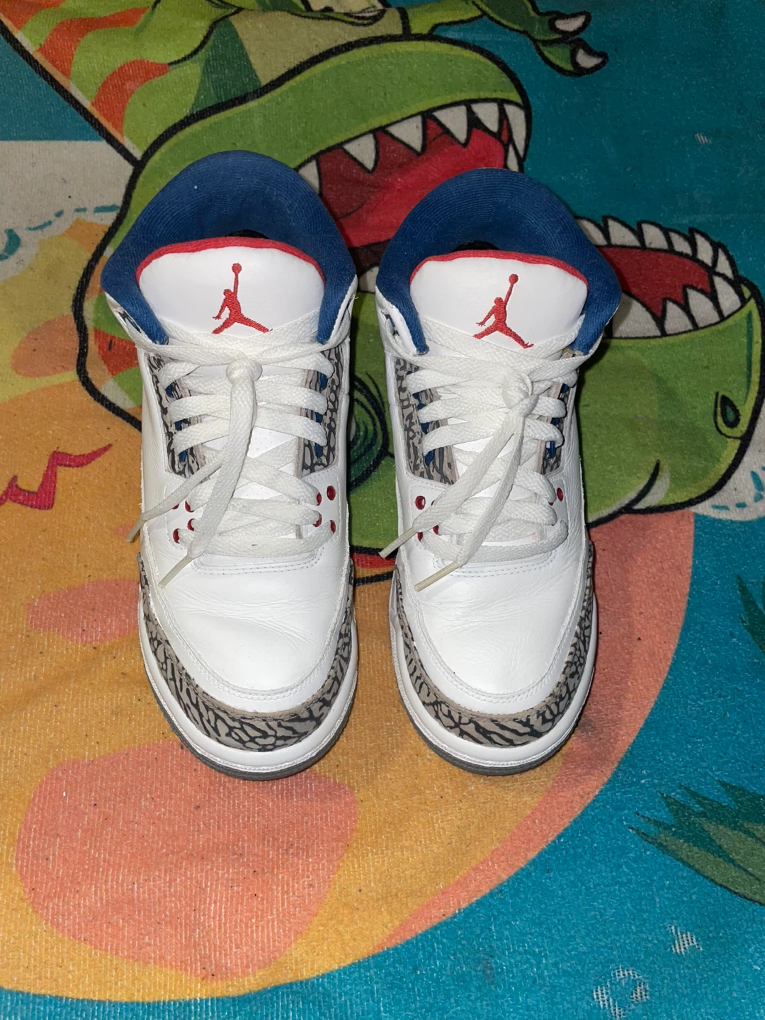 Jordan 3’s True Blue