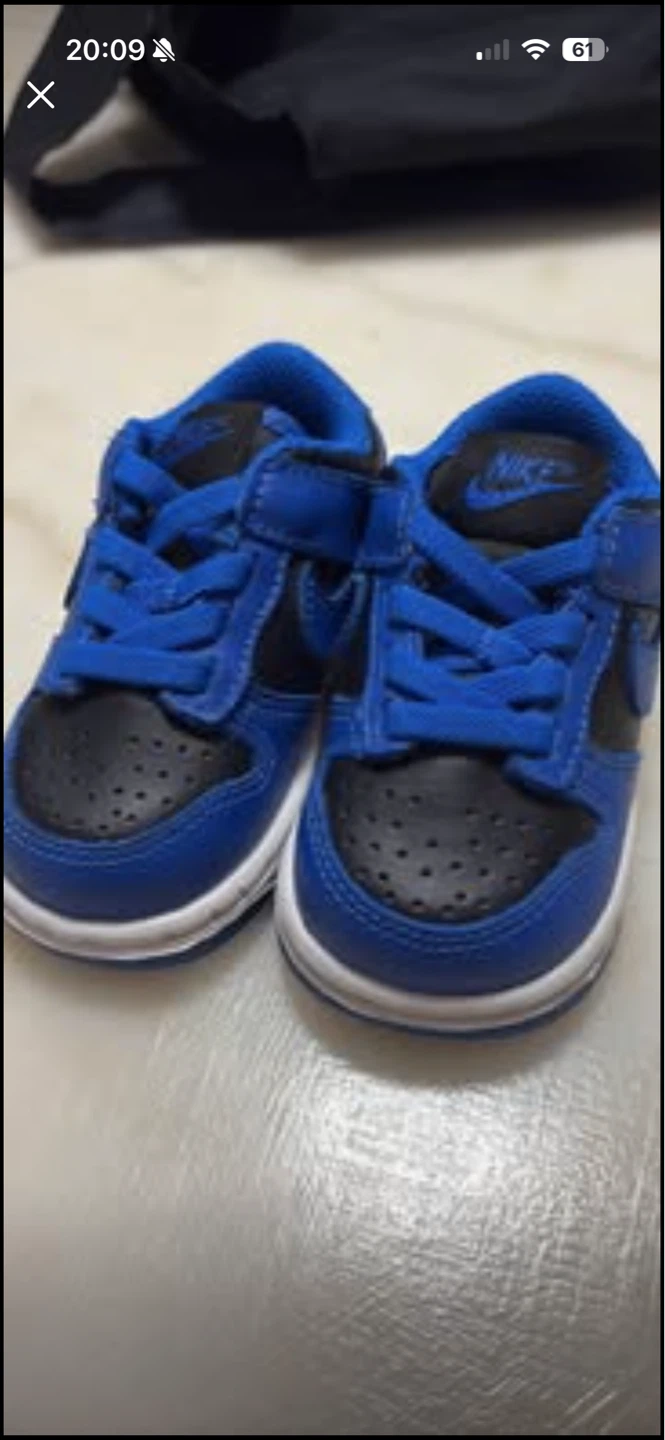 Nike Dunk Low Toddler Shoes - Blue/Black