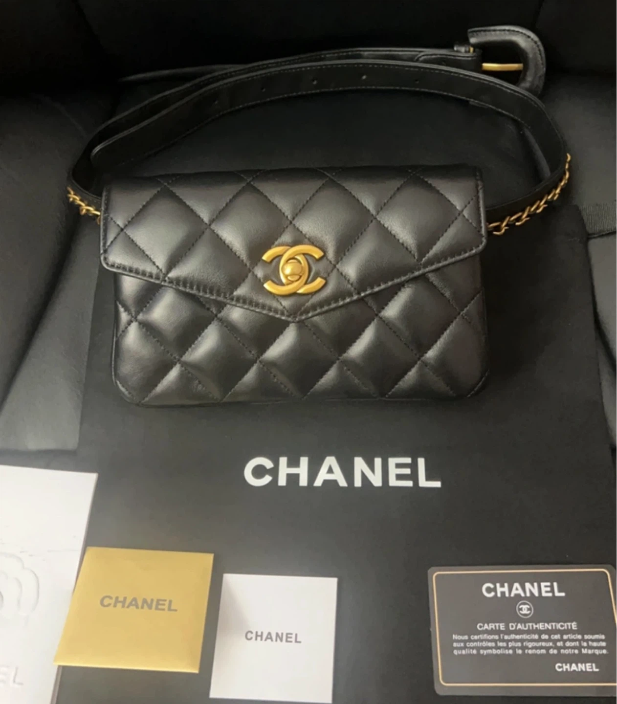 Chanel Quilted Leather Waist Bag - photo 2