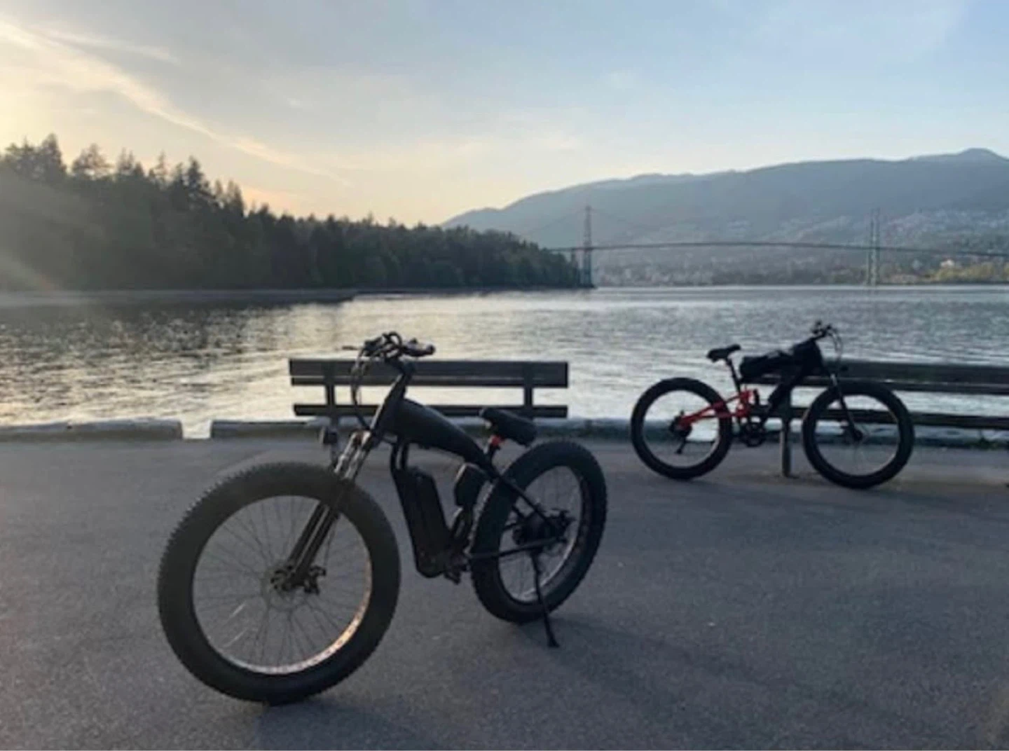 CURV-EV.CA Electric Fat Bike - photo 4