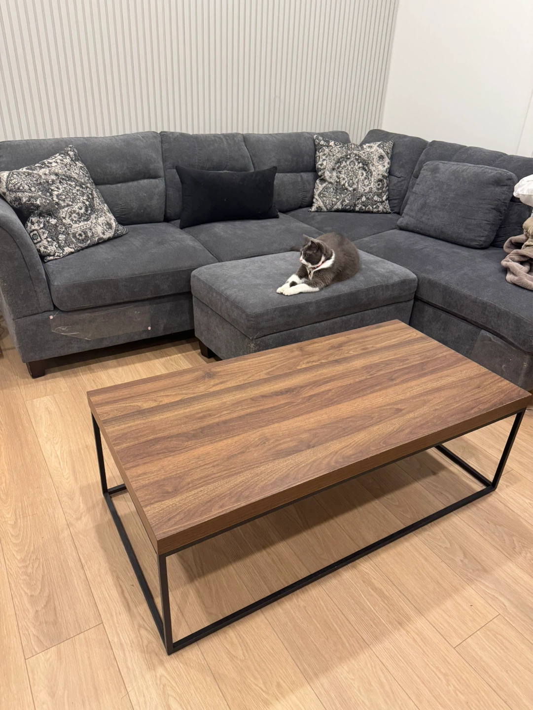 Walnut Coffee Table