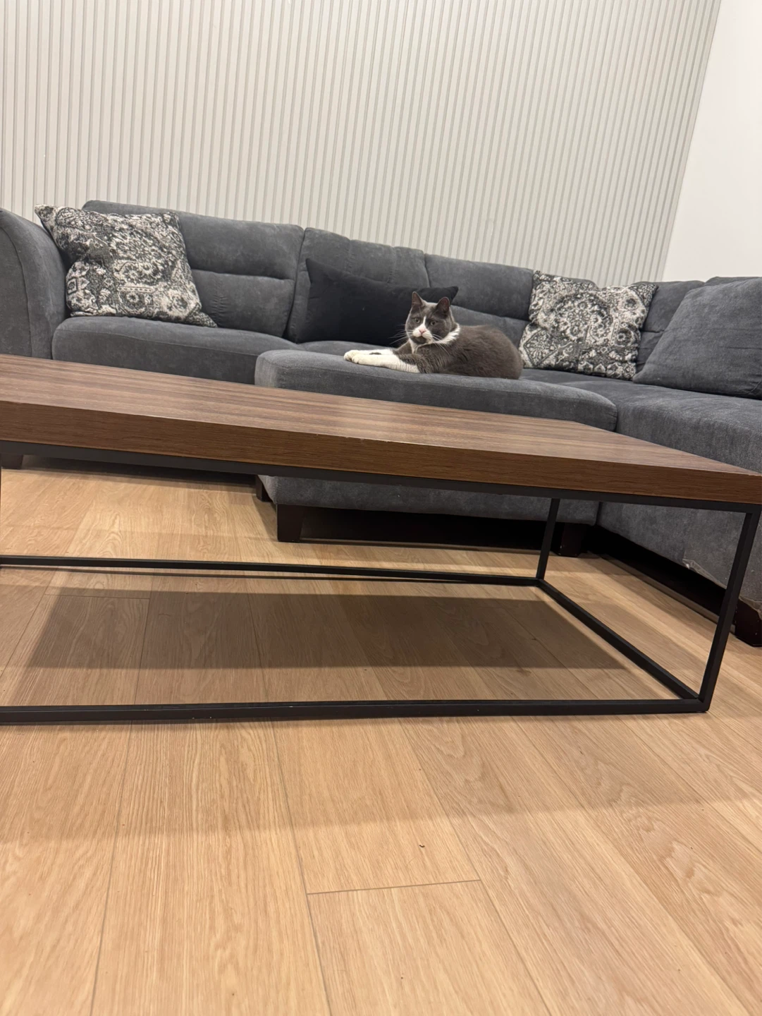 Walnut Coffee Table - photo 4