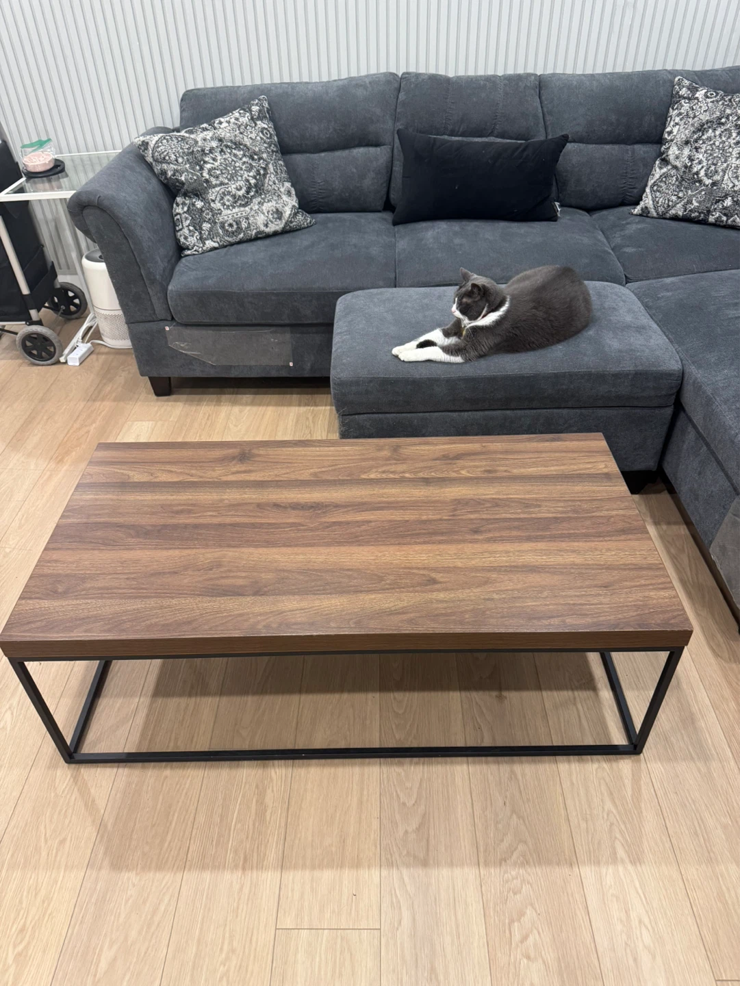 Walnut Coffee Table - photo 3