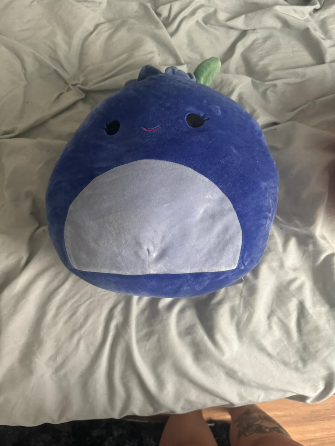 Squishmallow Blueberry Plush Toy