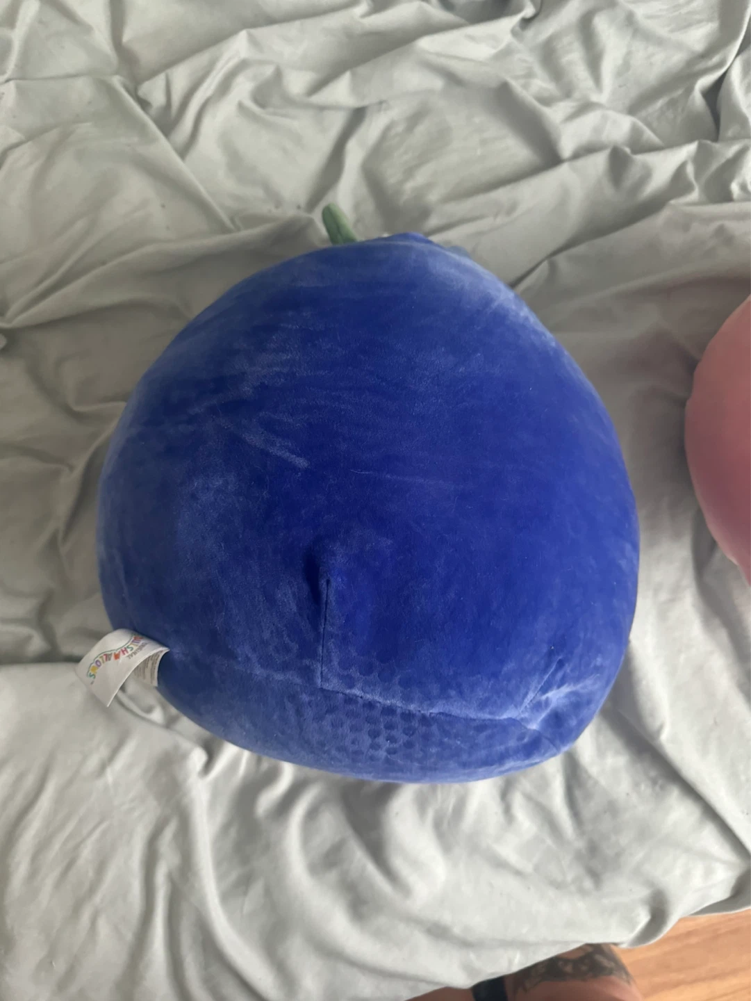 Squishmallow Blueberry Plush Toy - photo 3