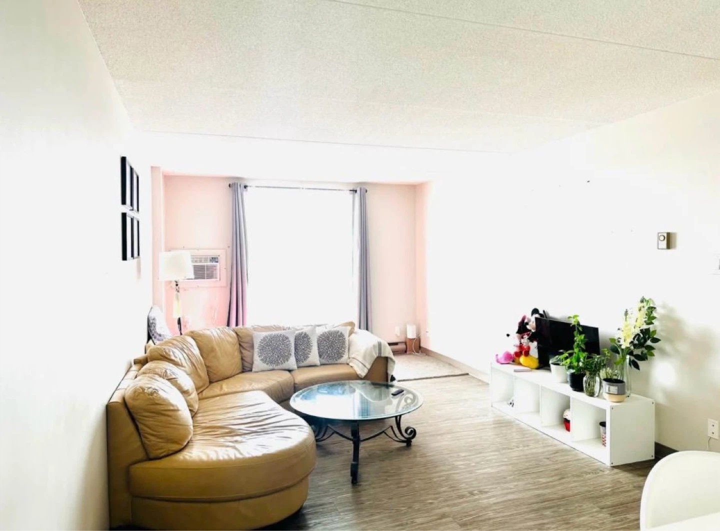 2 Bed 1 Bath Apartment