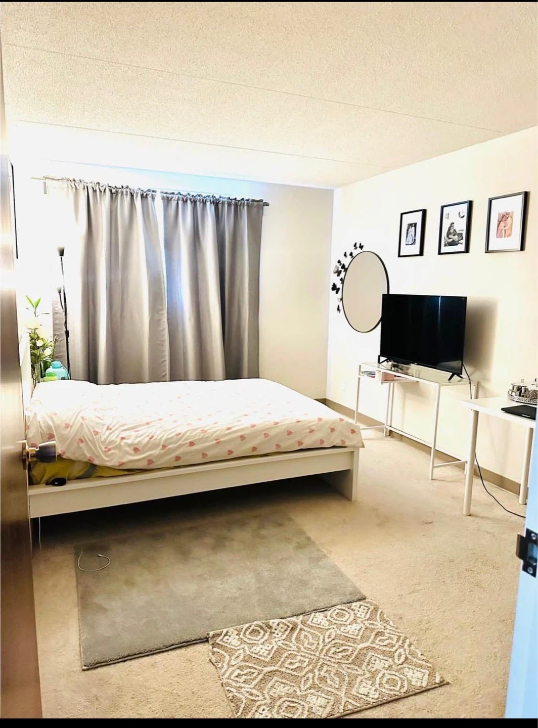2 Bed 1 Bath Apartment - photo 4