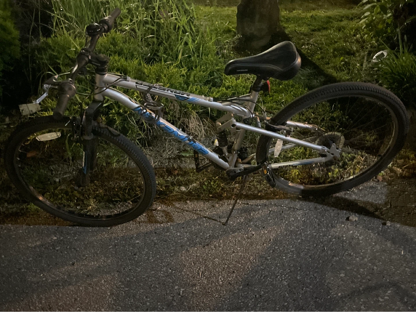 Genesis Mountain Bike