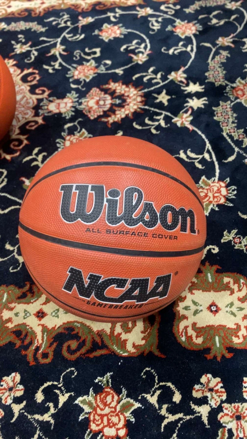 Wilson Evolution Basketballs - photo 3