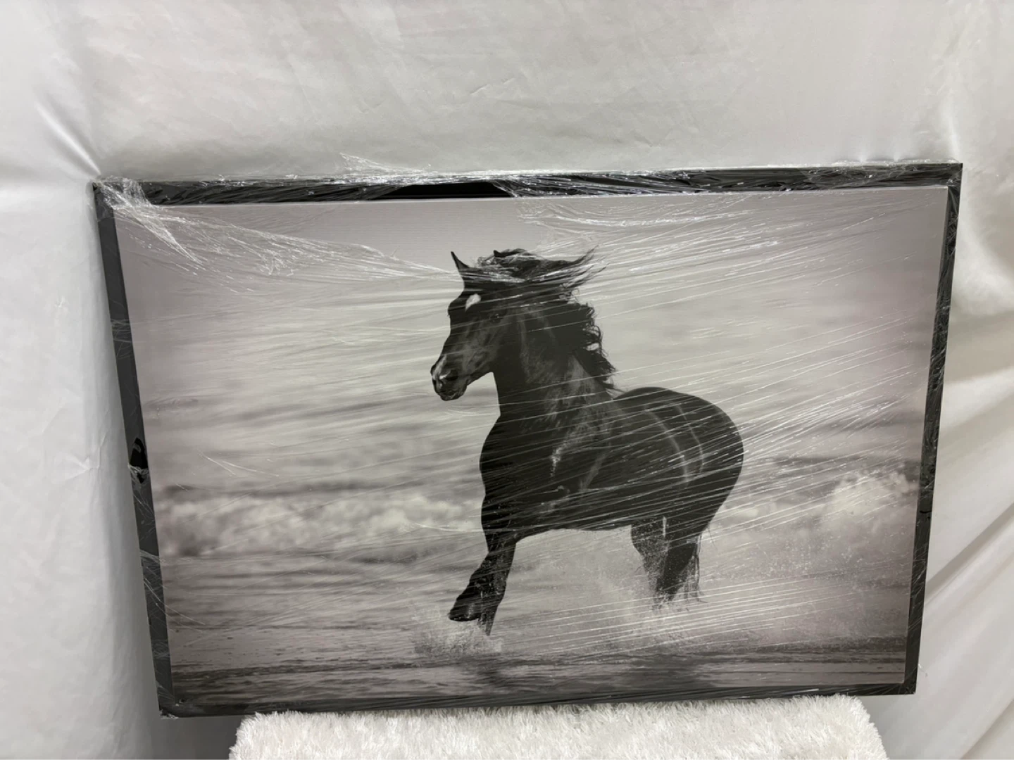 Canvas Wall Art Horses collection