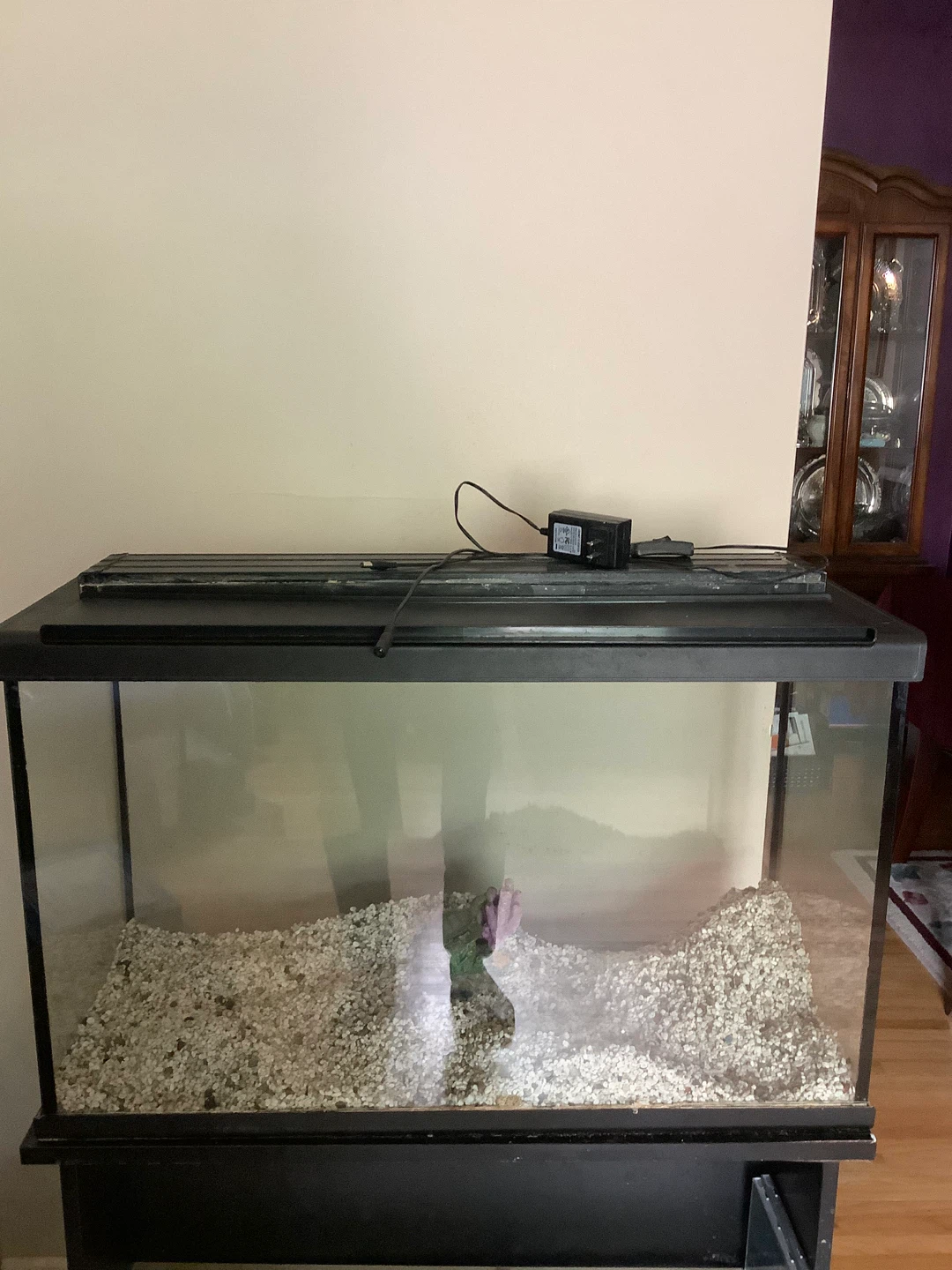 Fish Tank with Heater and Filter
