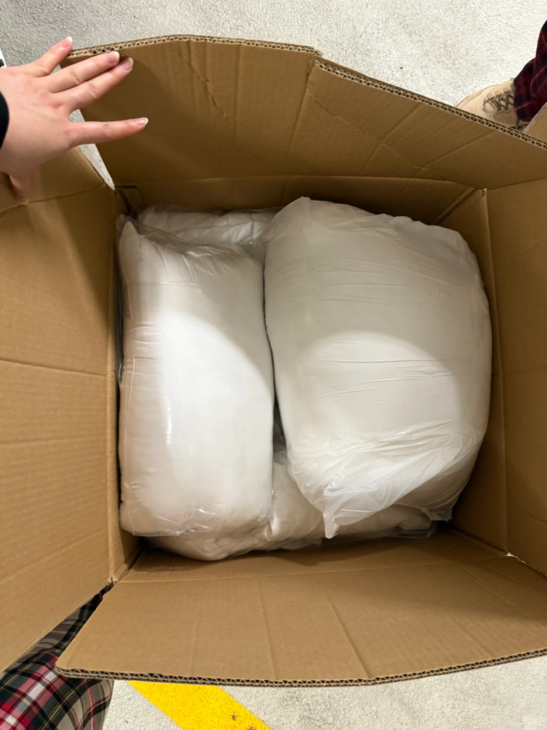 New unused - 2 Silk and Snow Pillows