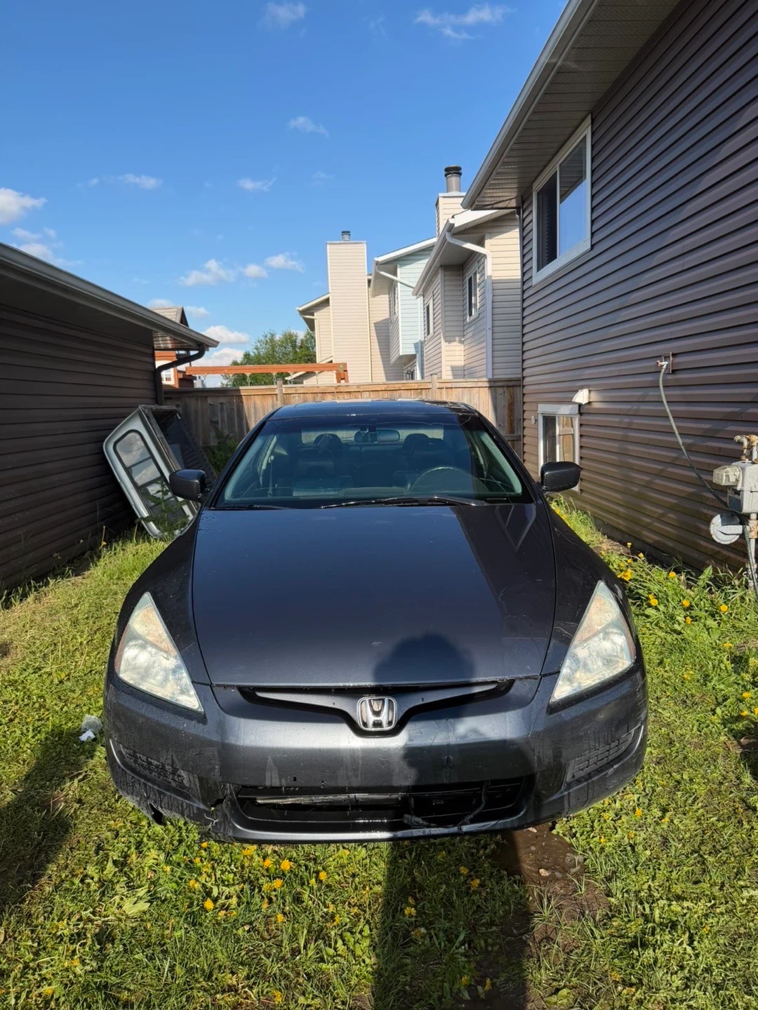 Honda Accord Coupe V6