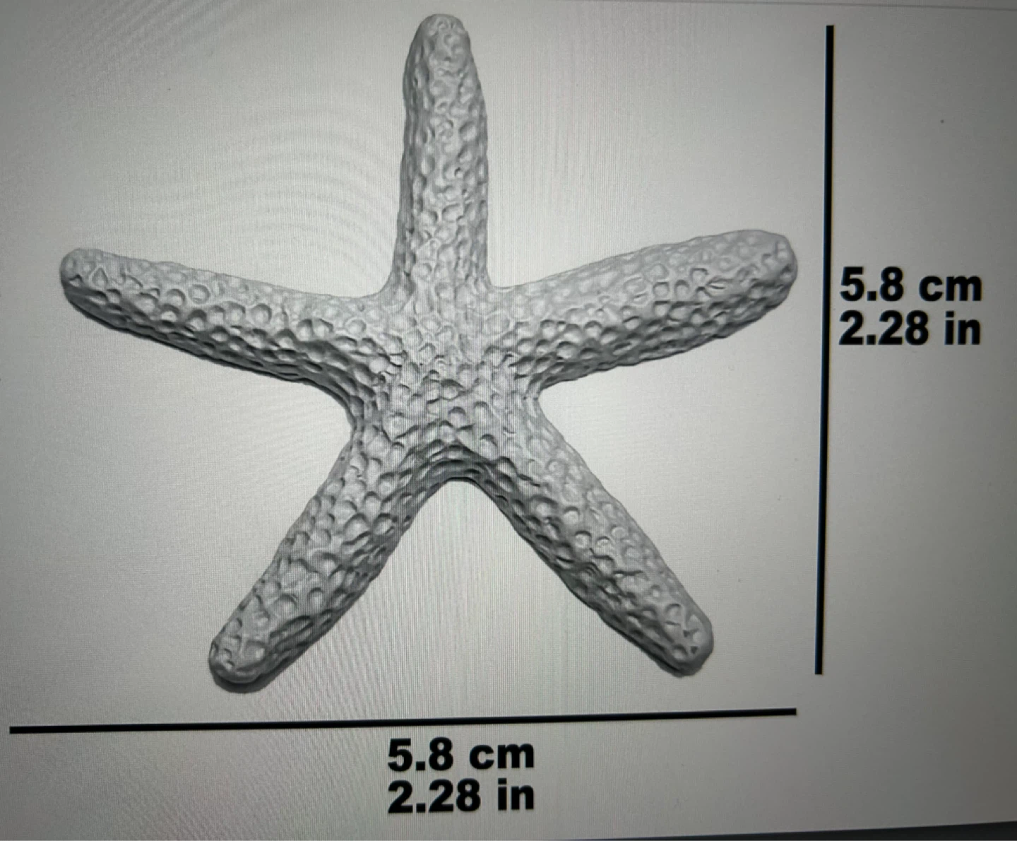 25 Decorative Starfish Craft Pieces - photo 3