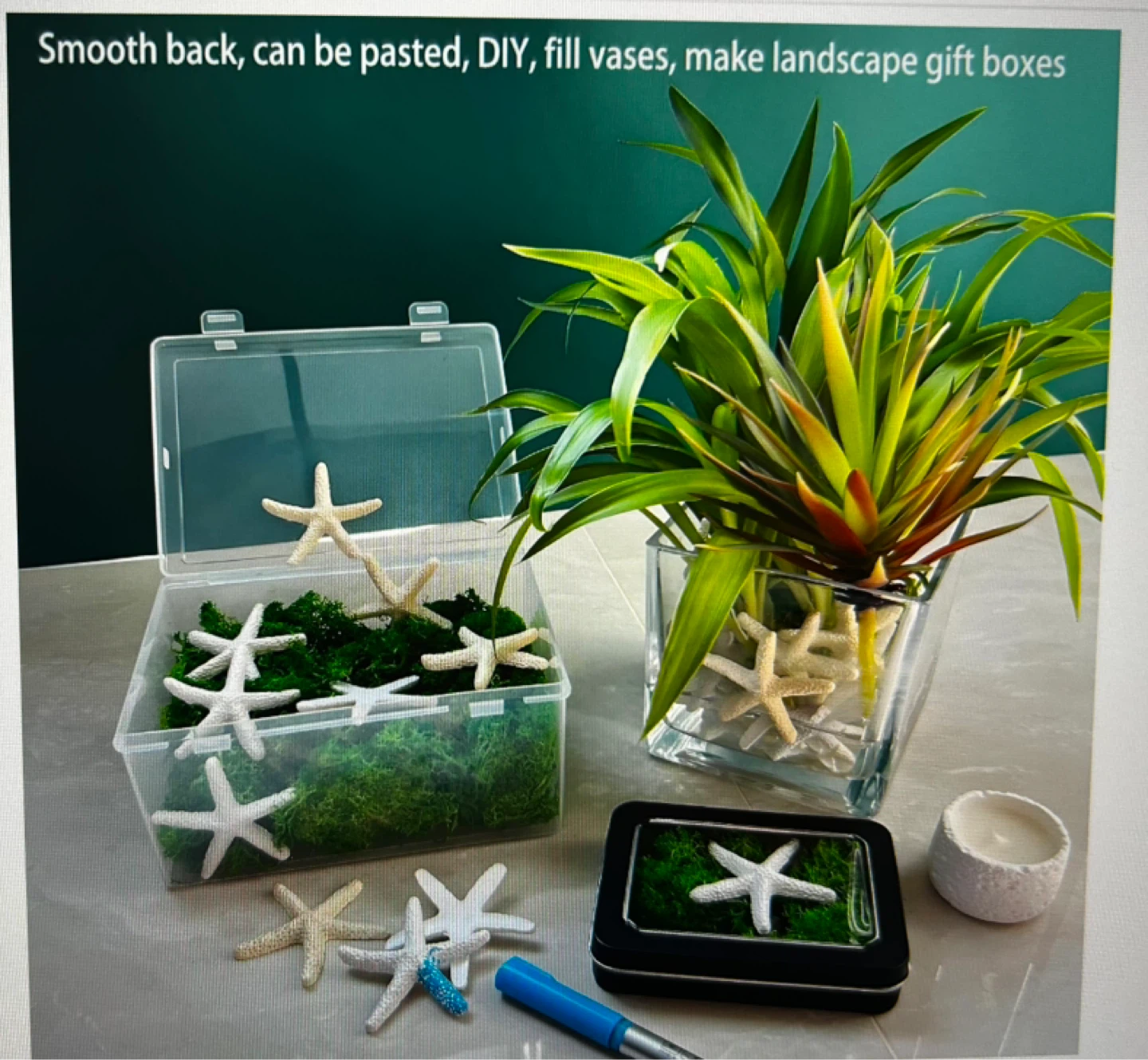 25 Decorative Starfish Craft Pieces - photo 5